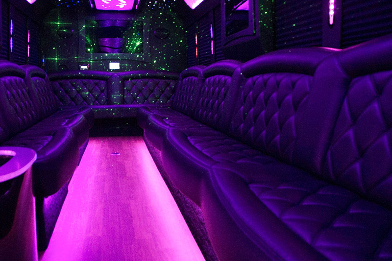 Luxury 25 to 30 Passengers Party Bus for rental